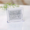 Lakshmi-Ganesha Blessings Frame